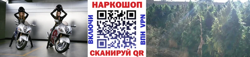 Купить закладку МАРИХУАНА  A PVP  ГАШИШ  АМФЕТАМИН  КОКАИН  Меф  Волжск