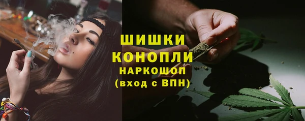 прущие крисы Карпинск