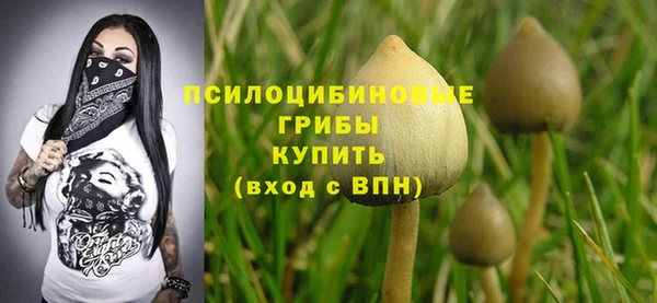 ешки Карталы