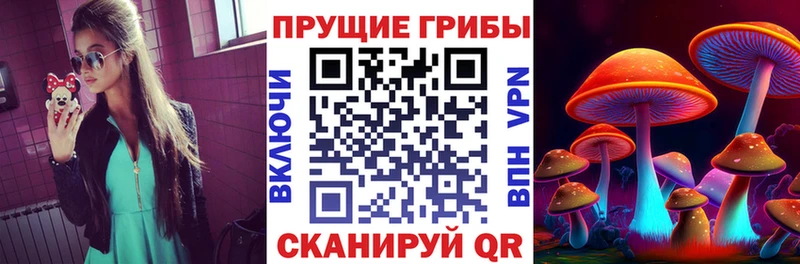 Псилоцибиновые грибы Psilocybe  Купить  Волжск 